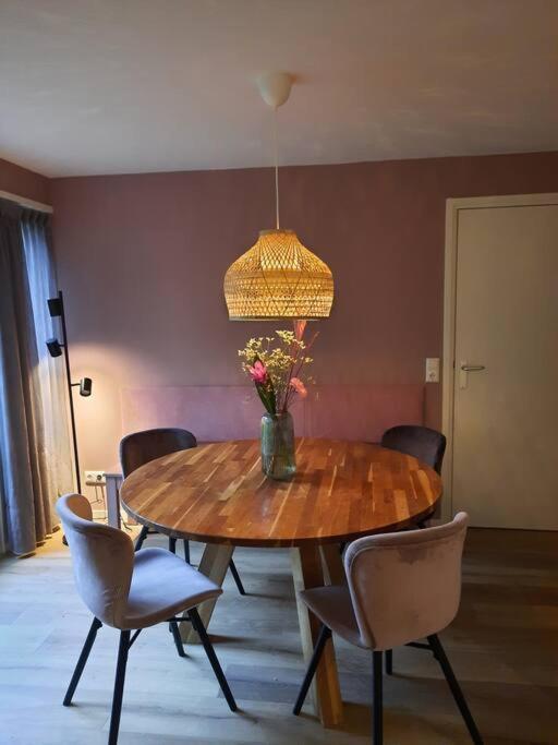 4-6 Persoons Vakantiewoning Met Eigen Tuin Villa Bakkeveen Esterno foto