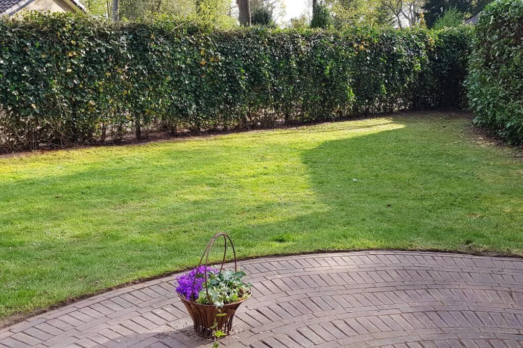 4-6 Persoons Vakantiewoning Met Eigen Tuin Villa Bakkeveen Esterno foto